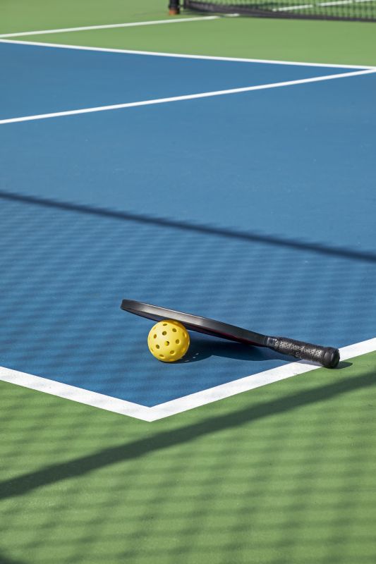 Modern Pickleball Court